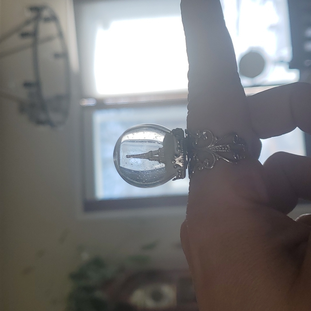 Winter in Paris Eiffel Tower Ring and Poster
